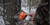 Trail Pad Tablet