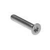 M6 x 35mm Star Recessed Screw