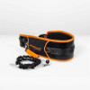 Cloud IX Anchorman Harness & Leash Set
