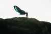 2027 North Orbit Ultra Kiteboarding Kite - Action Shot