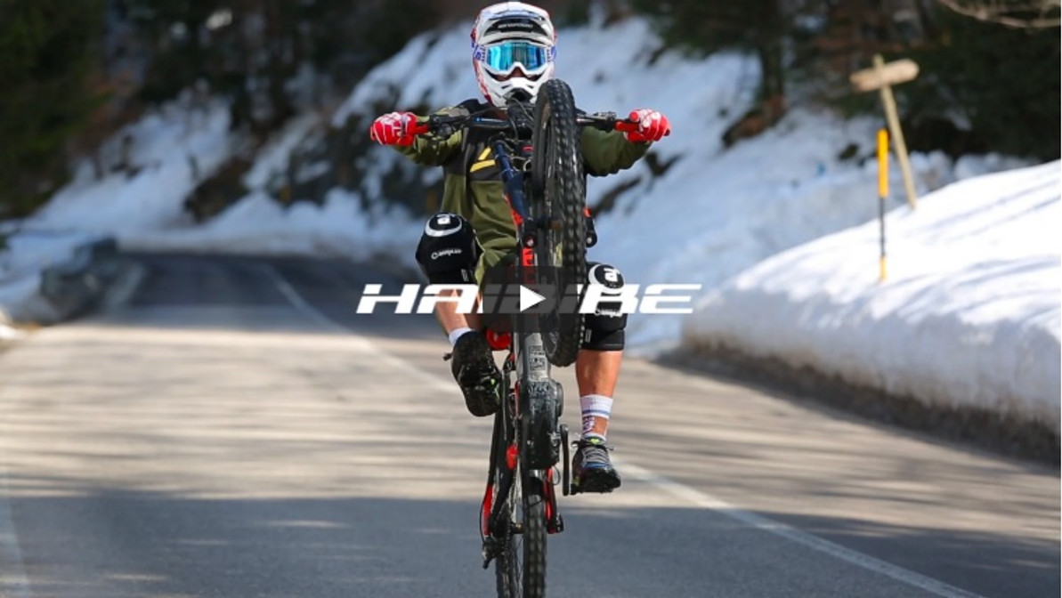 haibike xduro dh