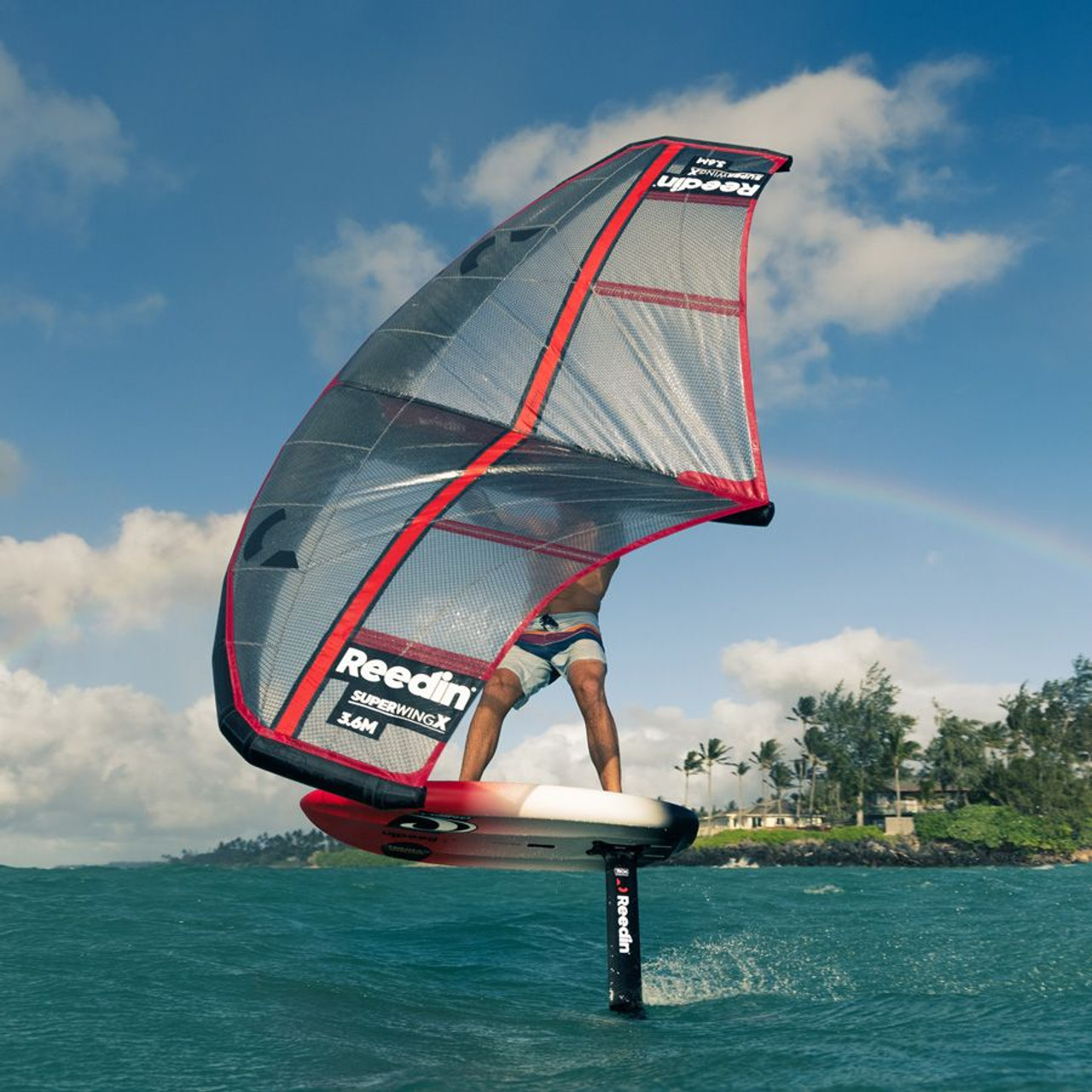 80s Gatorwind ステッカー Bordsailingウインドサーフィン サーフ ステッカー No WindSurfing Life (ウインドサーフィン