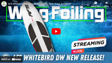 AFS Whitebird DW Wing Board - New Sizes Available