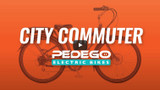 Let's Chat: Pedego City Commuter Overview & Review