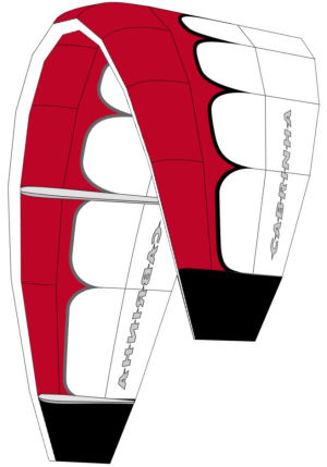 2001 Cabrinha Black Tip kiteboarding kite