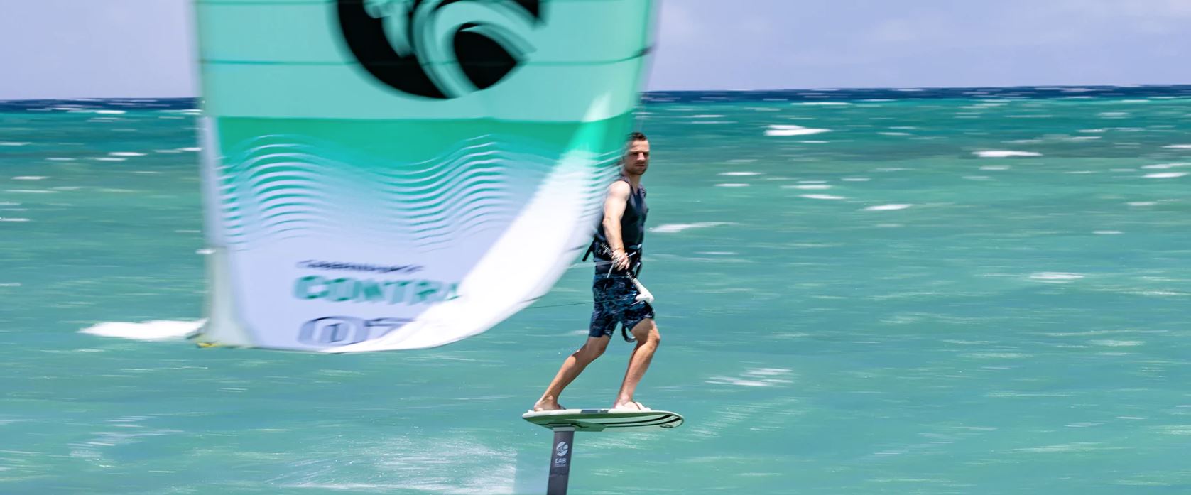 logic-with-kite.jpg logic-with-kite.jpg