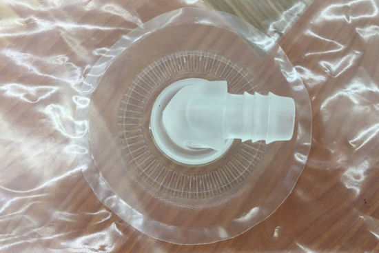 Unique Bladder Construction