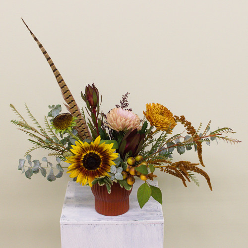 Autumn Terracotta