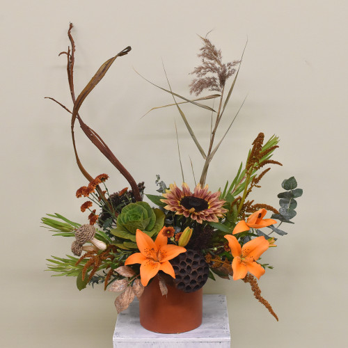 Autumn Woodland
