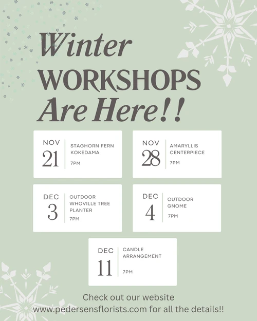 Outdoor Whoville Tree Planter - Dec. 3, 7PM