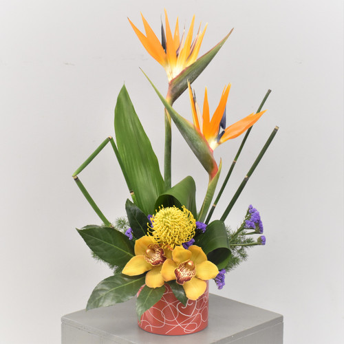 Designers Choice Tropical Valentines