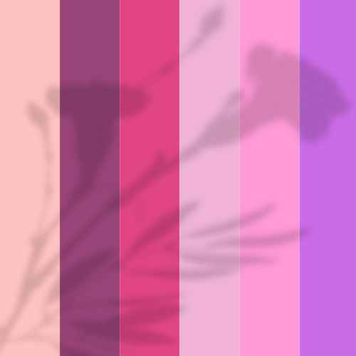 Designers Choice - Pinks & Purples