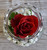Rose Bowl