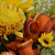 Autumn Designers Choice