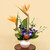 Designers Choice Tropical Valentines