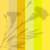 Designers Choice - Yellows
