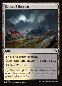 Scoured Barrens (TDM) (Foil) (#267)