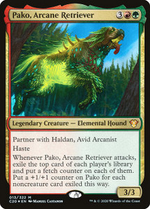 Pako, Arcane Retriever (C20) (Foil) (#13)