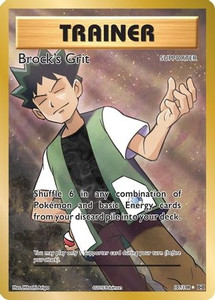 Brock's Grit (Full Art) (PTCG-EVO) (Holofoil) (#107/108)