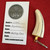Arno Bernard Knives Warthog Tusk Key Chain & Certificate