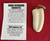 Arno Bernard Knives Warthog Tusk Key Chain & Certificate