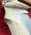 Puma White Hunter Fixed Blade Knife, 6377