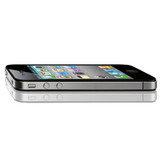 Darturien laciniado magnis  meros