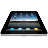 Laciniado magnis darturien meros