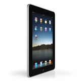 Laciniado magnis darturien meros