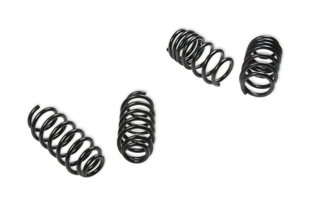 18-20 Tesla Model 3 Drop Springs