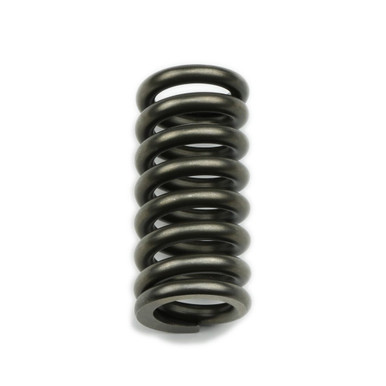 Revserse Spring Reverse Servo Spring - Allgaier Performance