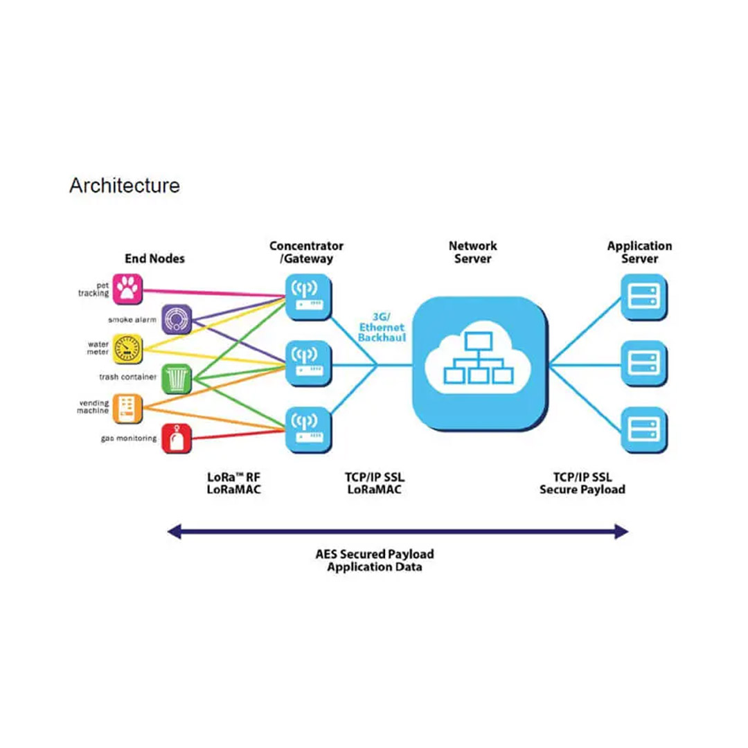 LoRaWAN Basics LoRaWAN Basics