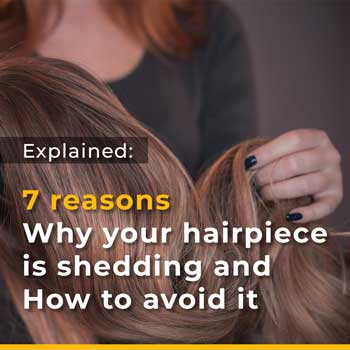 7 Reasons Why your Hairpiece is Shedding and How to Avoid it 7 Reasons Why your Hairpiece is Shedding and How to Avoid it