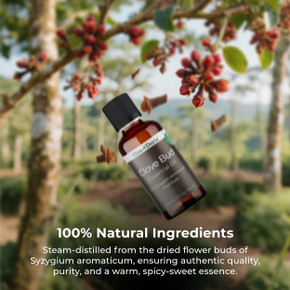 Clove Bud Essential Oil Food Grade