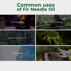 Fir Needle Essential Oil Food Grade (Siberian) 