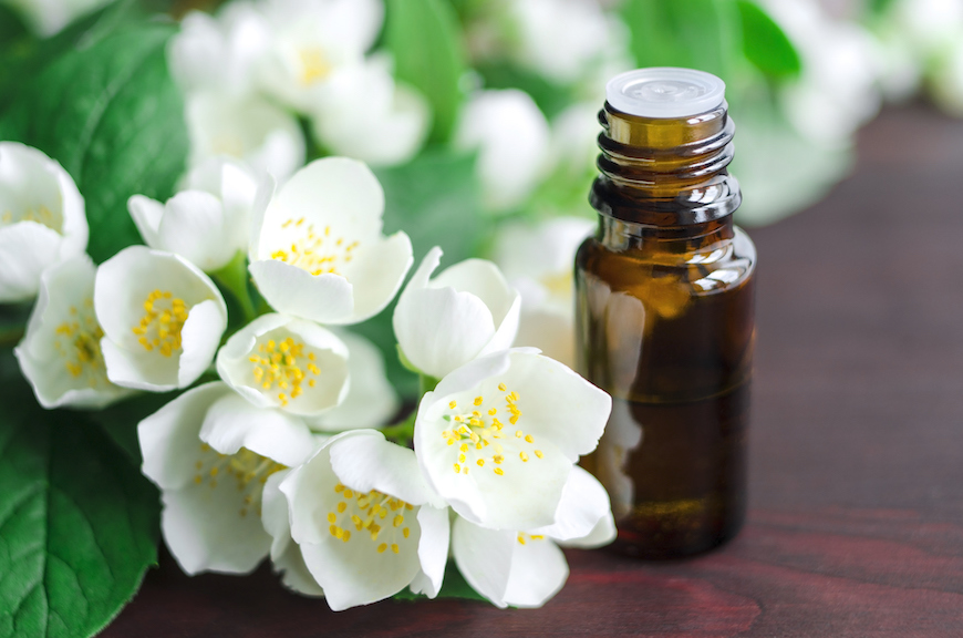 Jasmine Sambac Absolute Essential Oil What you Need to know Viva Doria