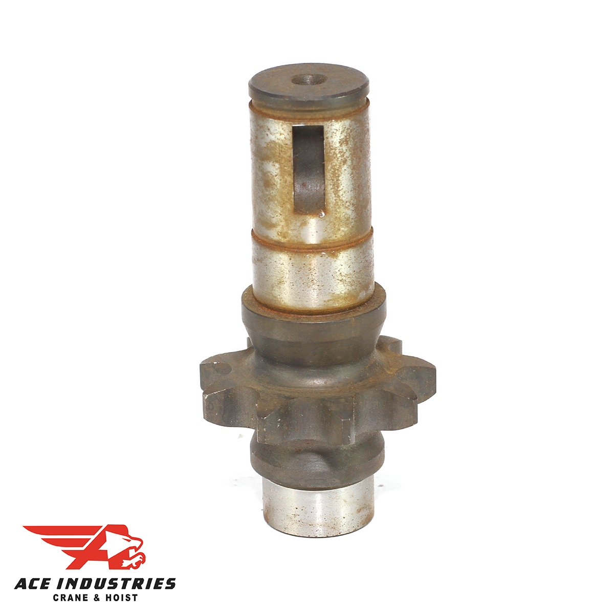 Sprocket-Roller Chain 31179001 31179001