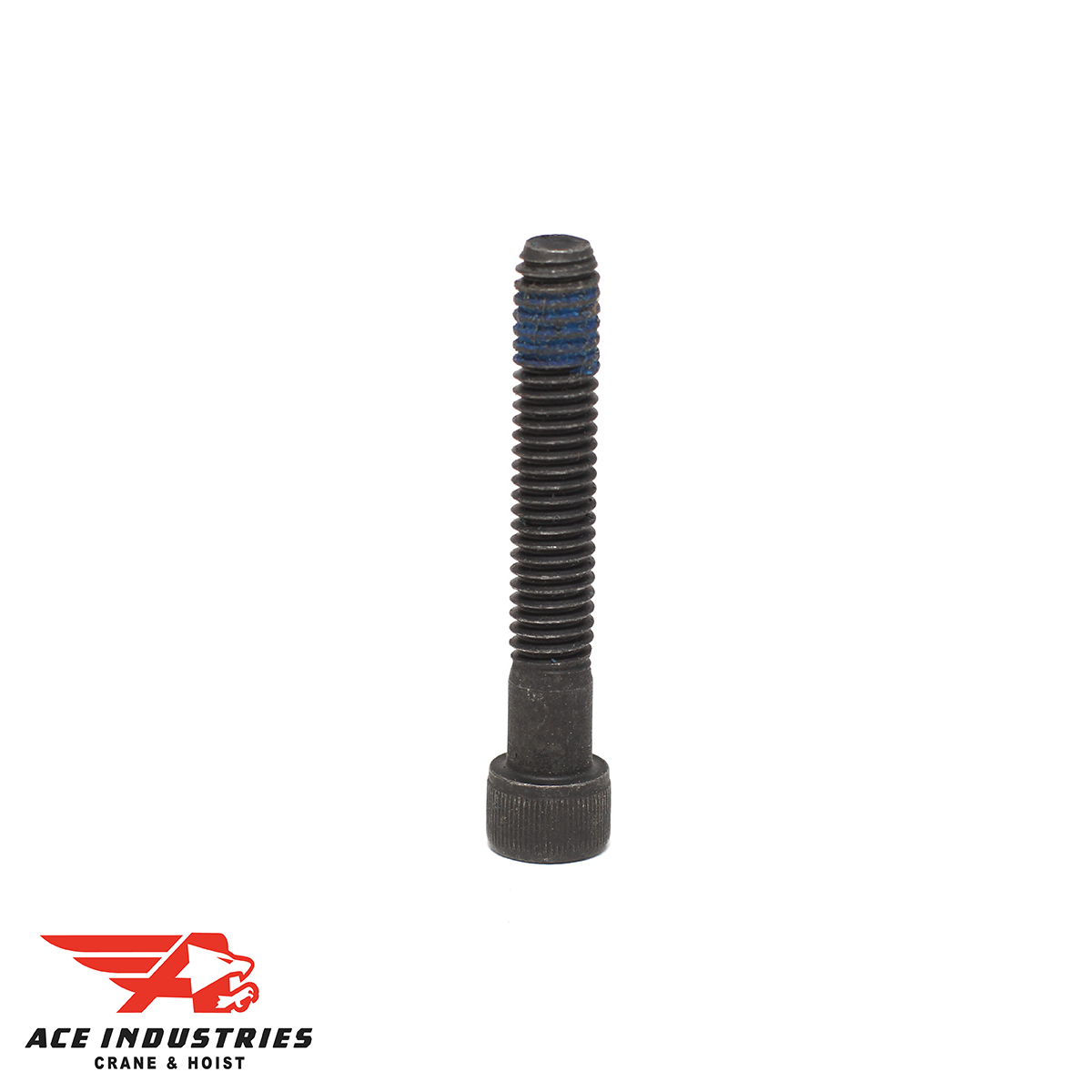 ボブ　5個分 SCREW,SOCKET HEAD CAP 5/16-18 (19798) 982682