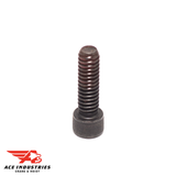 Chain Guide Attaching Screw (1080)