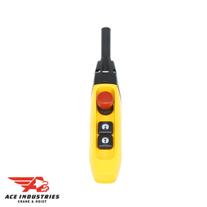 Efficient Harrington 2-Button Pendant SWDH200AA for precise control and safety in hoists and cranes.