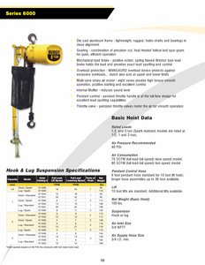 Budgit AirHoist 6000 Series Brochure