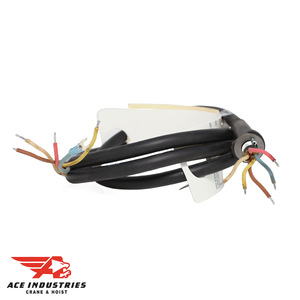 Control Cord Assembly 10' LFT LDSTR - 20630: Your solution for seamless control.