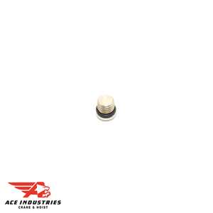 Oil Plug-Level H6295 Oil Plug-Level H6295