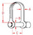 Suncor 5/32" Stamped D Shackle 304 stainless with Screw Pin
