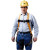 Honeywell Miller Titan T4500 Full-Body Non-Stretch Harness