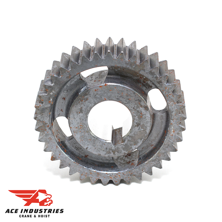 Gear-Sprocket 21988101