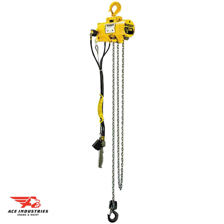 Budgit 2200 1/4 Ton Air hoist 65 fpm, Pendant Controlled - 2212