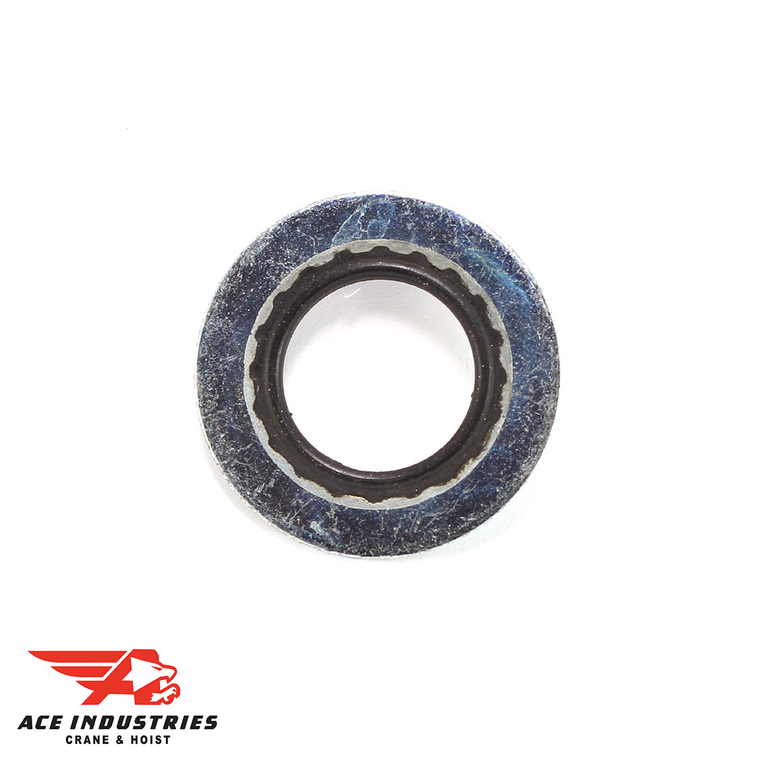 Washer - "0" Ring Type (LT10313904)