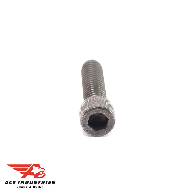 Socket Head Screw (3369)