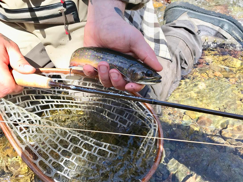 Family, Brookies, and the Heritage Rod! - Allen Fly Fishing